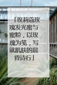 玫莉蔻玫瑰发光蜜与蜜粉，以玫瑰为笺，写就肌肤的晨昏诗行
