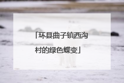 环县曲子镇西沟村的绿色蝶变