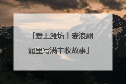 爱上潍坊丨麦浪翻涌里写满丰收故事