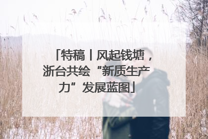 特稿丨风起钱塘，浙台共绘“新质生产力”发展蓝图