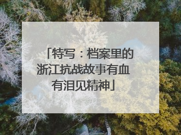 特写：档案里的浙江抗战故事有血有泪见精神