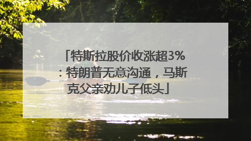 特斯拉股价收涨超3%：特朗普无意沟通，马斯克父亲劝儿子低头