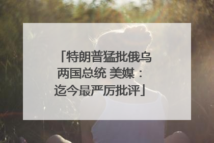 特朗普猛批俄乌两国总统 美媒：迄今最严厉批评