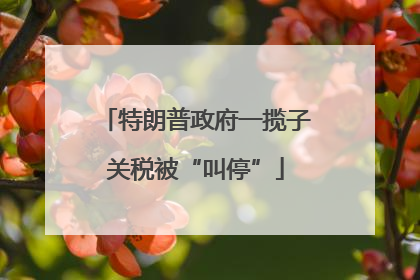 特朗普政府一揽子关税被“叫停”