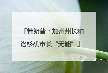 特朗普：加州州长和洛杉矶市长“无能”