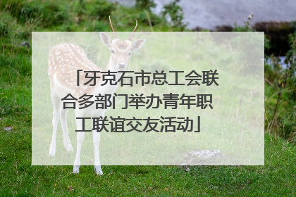 牙克石市总工会联合多部门举办青年职工联谊交友活动