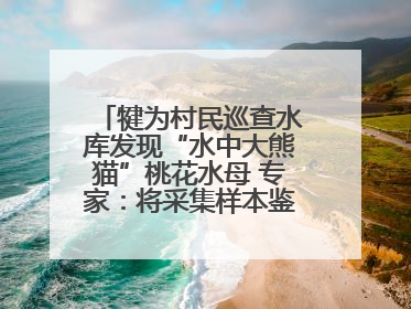 犍为村民巡查水库发现“水中大熊猫”桃花水母 专家：将采集样本鉴定具体种属
