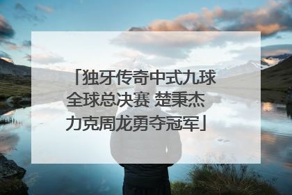 独牙传奇中式九球全球总决赛 楚秉杰力克周龙勇夺冠军