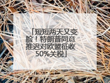 短短两天又变脸！特朗普同意推迟对欧盟征收50%关税