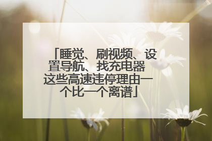 睡觉、刷视频、设置导航、找充电器 这些高速违停理由一个比一个离谱