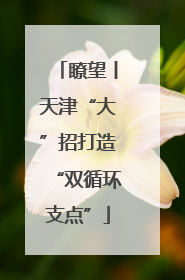 瞭望丨天津“大”招打造“双循环支点”