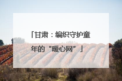 甘肃：编织守护童年的“暖心网”