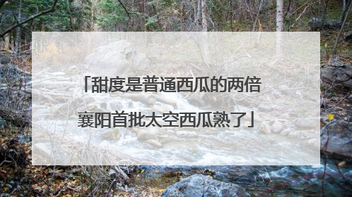甜度是普通西瓜的两倍 襄阳首批太空西瓜熟了
