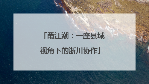 甬江潮：一座县域视角下的浙川协作