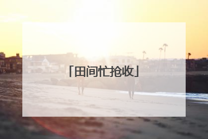 田间忙抢收
