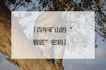 百年矿山的“智匠”密码