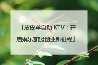 皮皮羊自助 KTV：开启娱乐加盟创业新征程
