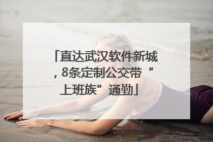 直达武汉软件新城，8条定制公交带“上班族”通勤