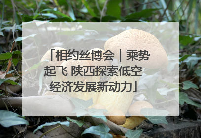 相约丝博会｜乘势起飞 陕西探索低空经济发展新动力