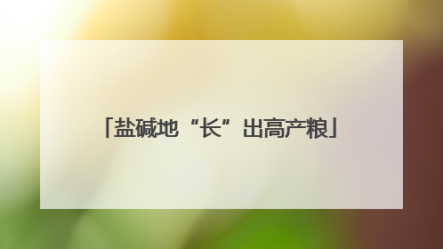 盐碱地“长”出高产粮