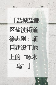盐城盐都区盐渎街道徐志刚：项目建设工地上的“啄木鸟”