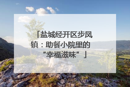 盐城经开区步凤镇：助餐小院里的“幸福滋味”