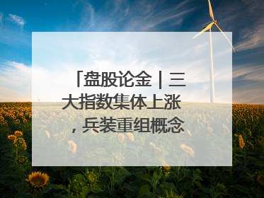 盘股论金｜三大指数集体上涨，兵装重组概念遥遥领先