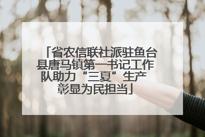 省农信联社派驻鱼台县唐马镇第一书记工作队助力“三夏”生产 彰显为民担当