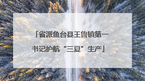 省派鱼台县王鲁镇第一书记护航“三夏”生产