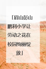 眉山彭山鹏利小学让劳动之花在校园绚丽绽放
