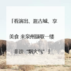 看演出、逛古城、享美食 来泉州撷取一缕非遗“烟火气”