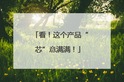 看！这个产品“芯”意满满！