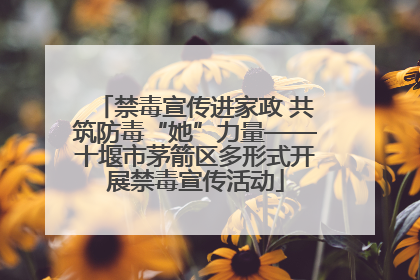 禁毒宣传进家政 共筑防毒“她”力量——十堰市茅箭区多形式开展禁毒宣传活动