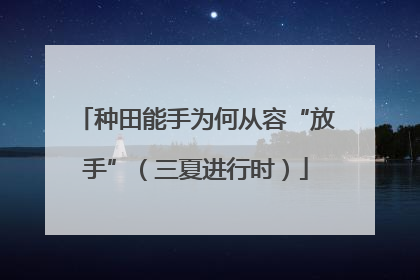 种田能手为何从容“放手”（三夏进行时）