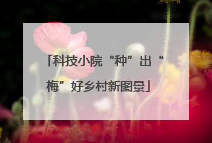 科技小院“种”出“梅”好乡村新图景