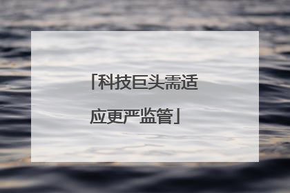 科技巨头需适应更严监管