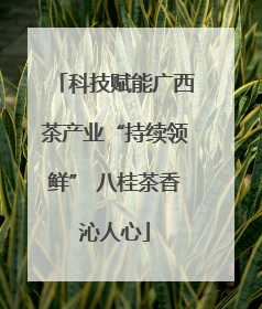 科技赋能广西茶产业“持续领鲜” 八桂茶香沁人心