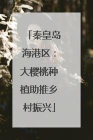 秦皇岛海港区：大樱桃种植助推乡村振兴