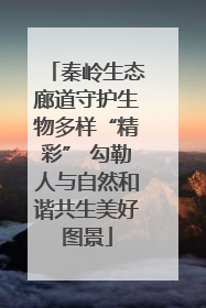 秦岭生态廊道守护生物多样“精彩” 勾勒人与自然和谐共生美好图景