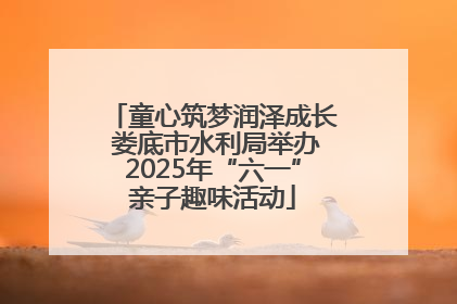 童心筑梦润泽成长 娄底市水利局举办2025年“六一”亲子趣味活动