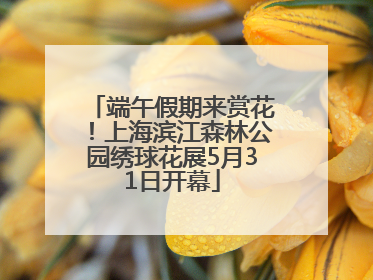 端午假期来赏花！上海滨江森林公园绣球花展5月31日开幕