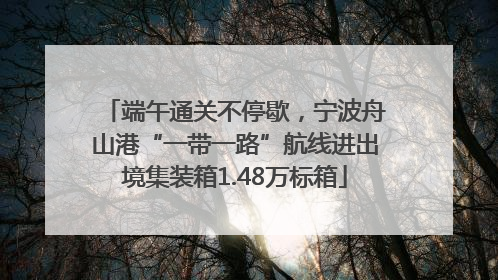端午通关不停歇，宁波舟山港“一带一路”航线进出境集装箱1.48万标箱