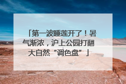 第一波睡莲开了！暑气渐浓，沪上公园打翻大自然“调色盘”