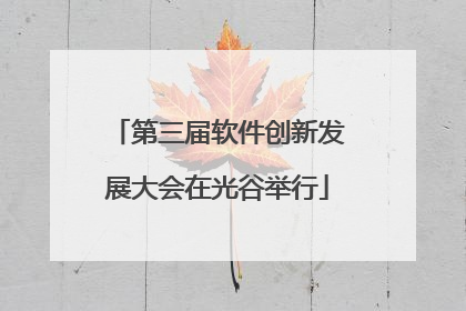 第三届软件创新发展大会在光谷举行