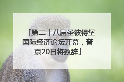 第二十八届圣彼得堡国际经济论坛开幕，普京20日将致辞