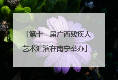 第十一届广西残疾人艺术汇演在南宁举办