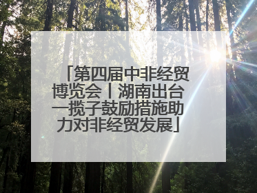 第四届中非经贸博览会丨湖南出台一揽子鼓励措施助力对非经贸发展