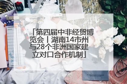 第四届中非经贸博览会丨湖南14市州与28个非洲国家建立对口合作机制