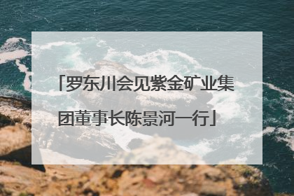 罗东川会见紫金矿业集团董事长陈景河一行