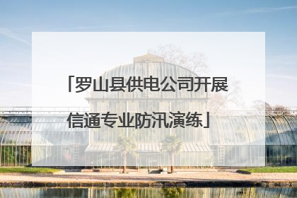 罗山县供电公司开展信通专业防汛演练